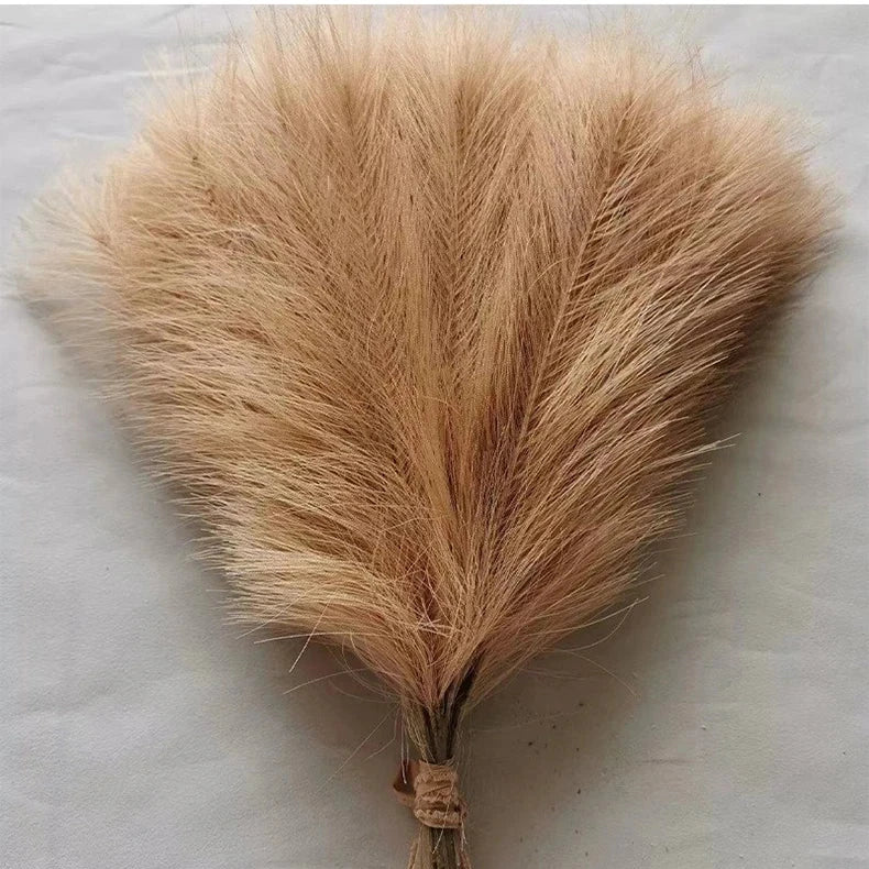 Pampas Grass Stems, Set of 5 (add to your vase set)
