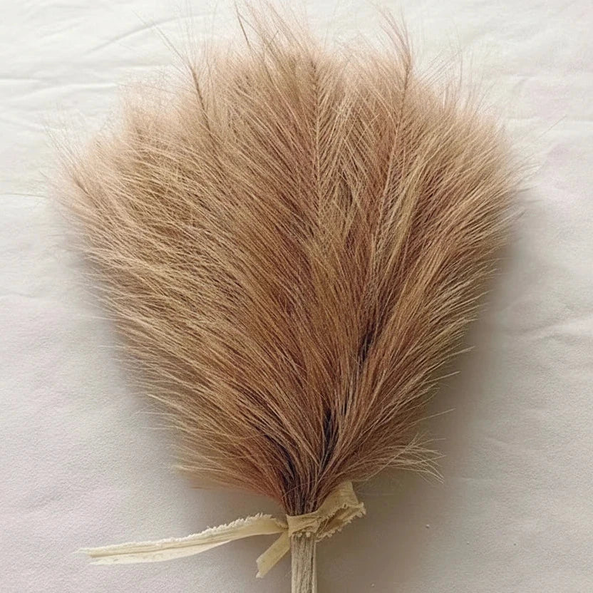 Pampas Grass Stems, Set of 5 (add to your vase set)