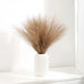 Pampas Grass Stems, Set of 5 (add to your vase set)